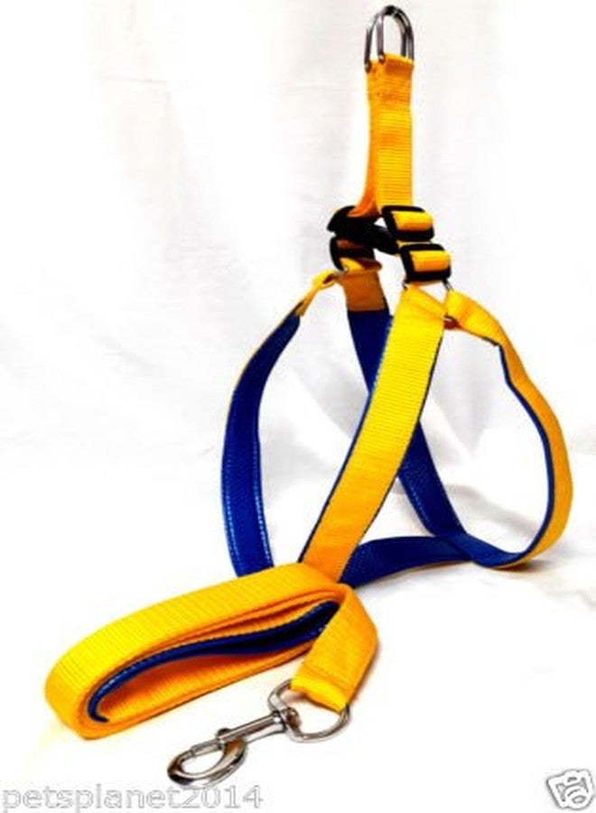 Ocean Wave Petsplanet Yellow Nylon Dog Harness with Soft Blue Padding 1 inch Medium Size - Image 3